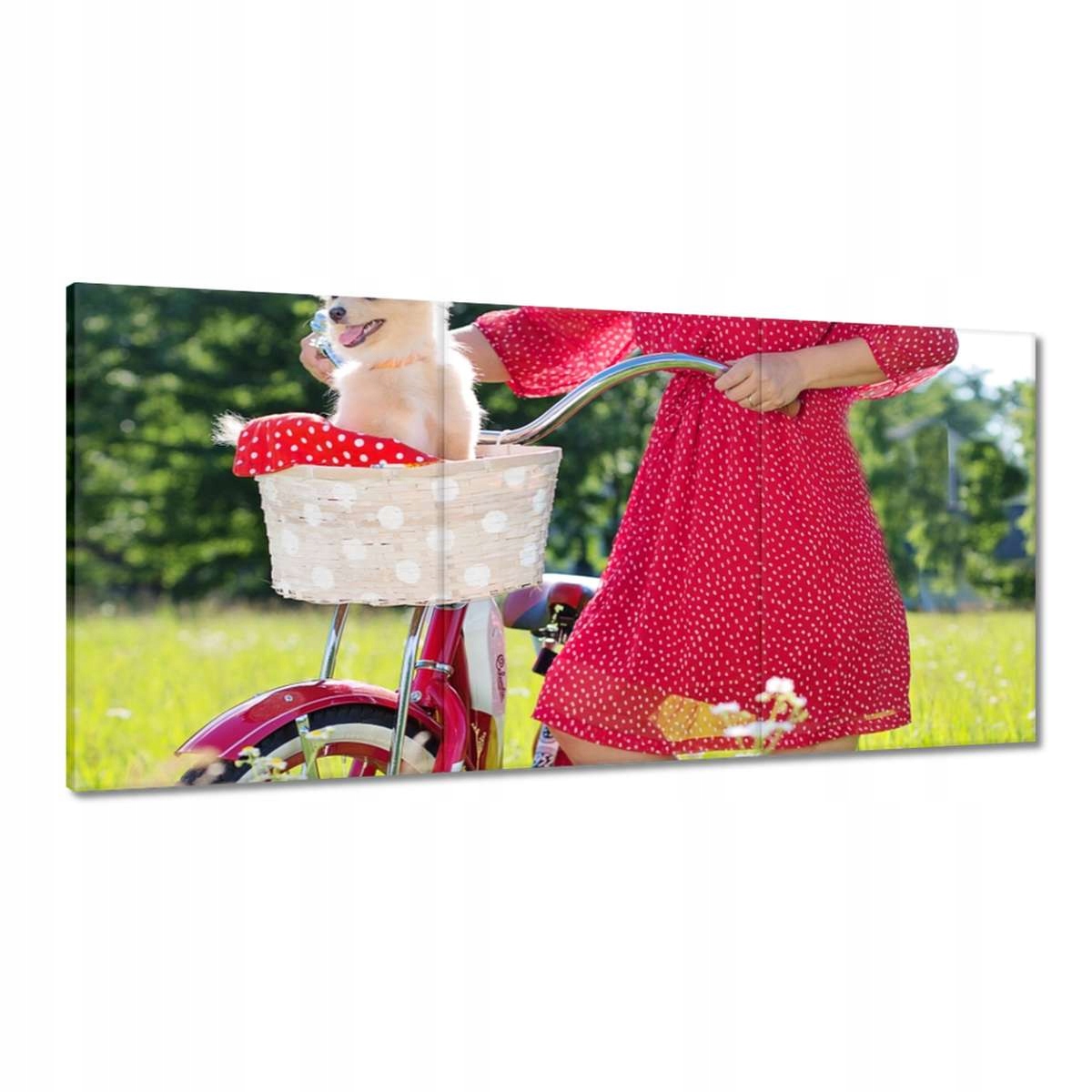 Obrazy 180x90 Bicykle Dve kolieska