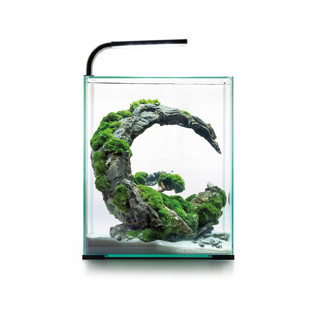 AQUAEL SHRIMP SET II 30L CZARNY Krewetkarium Kod producenta AQL 122981