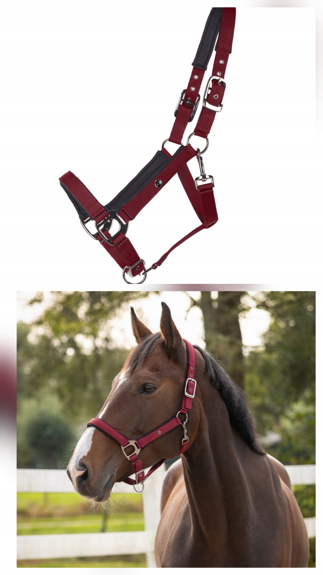 Kantar źrebięcy Deluxe z podwójną regulacją Qhp bordowy r. Foal 04