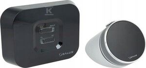Salus Internetowy Regulator IT800 Wifi
