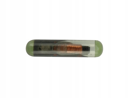

Transponder T5 TP05 Czysty Nowy Do Zakodowania