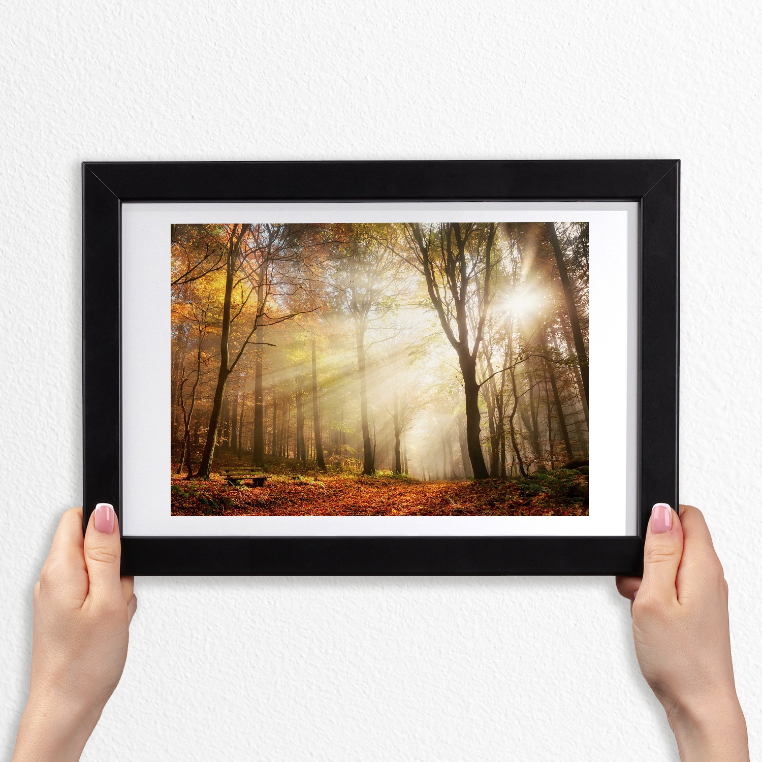 Obraz s Mdf rámečkem do obývacího pokoje Mlha v lese 30x20 cm