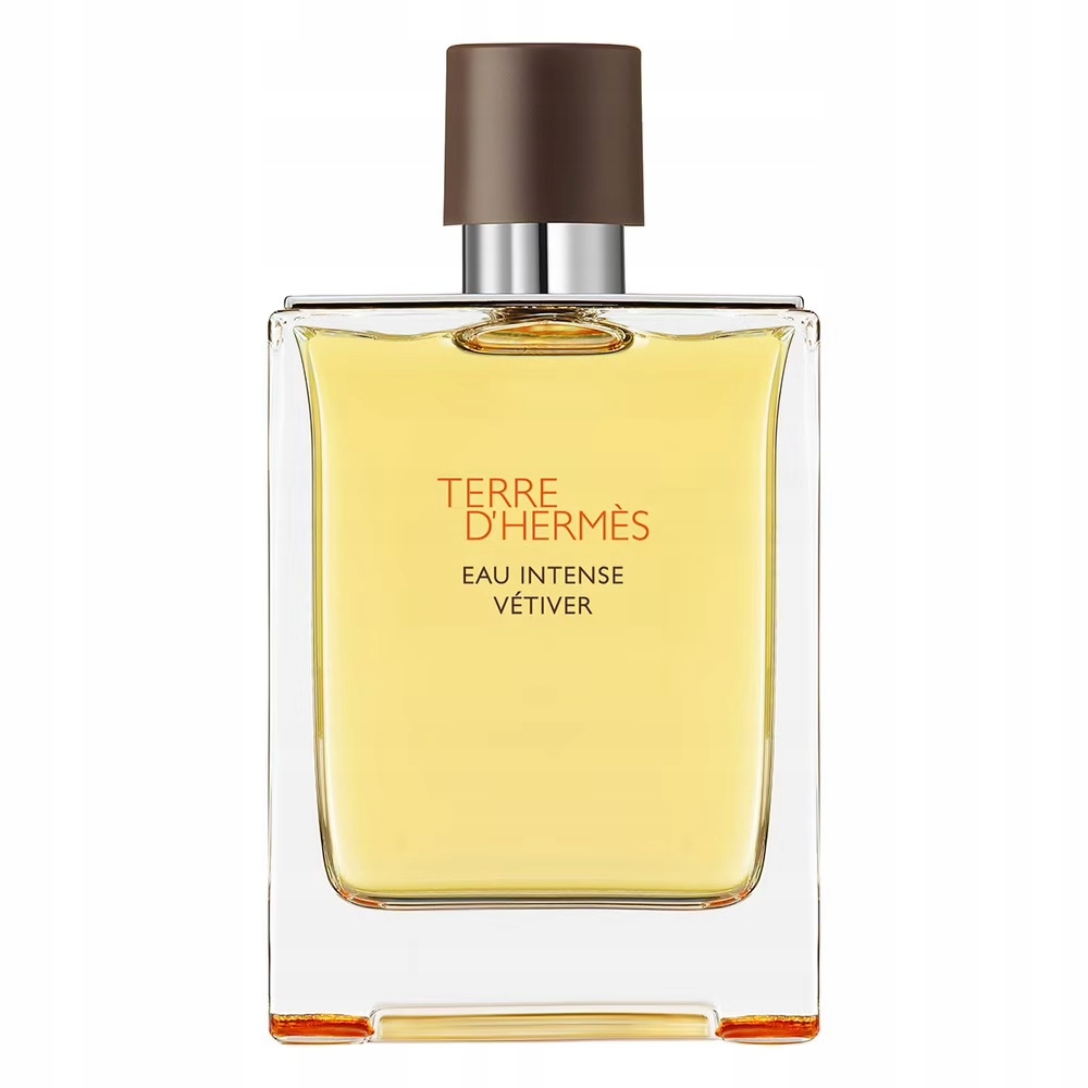 Hermes Terre D'Hermes Eau Intense Vetiver parfémovaná voda sprej 200 Ml