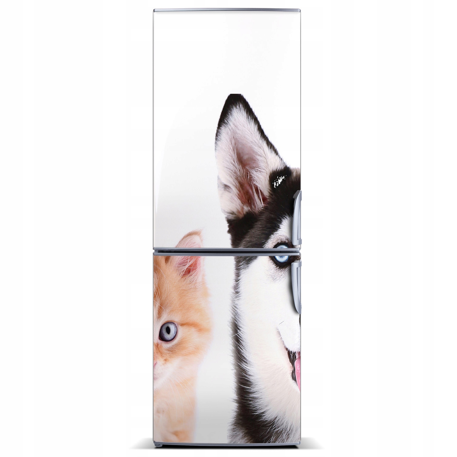 

Mata magnetyczna na lodówkę Pies i kot 60x180