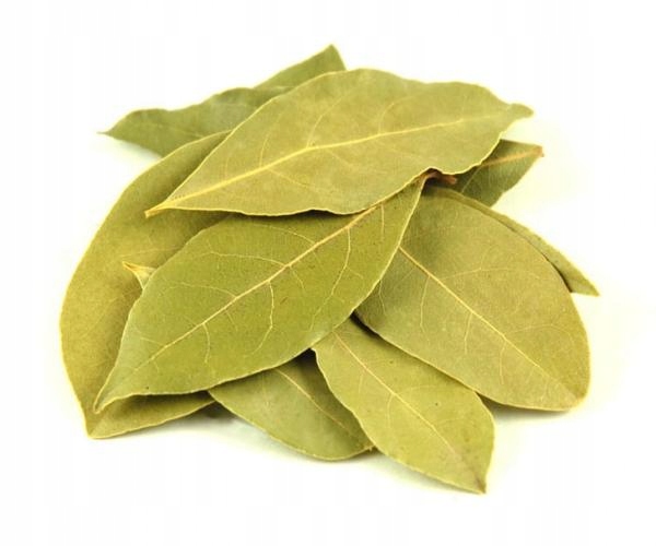 Aromatické vavřínové listy Turecké 5 kg velkoobchod