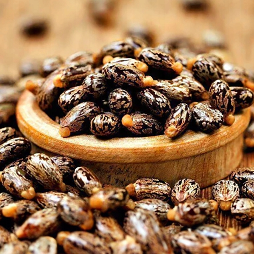 OLEJ RYCYNOWY NIERAFINOWANY NATURALNY 100% 100ml Marka bez marki