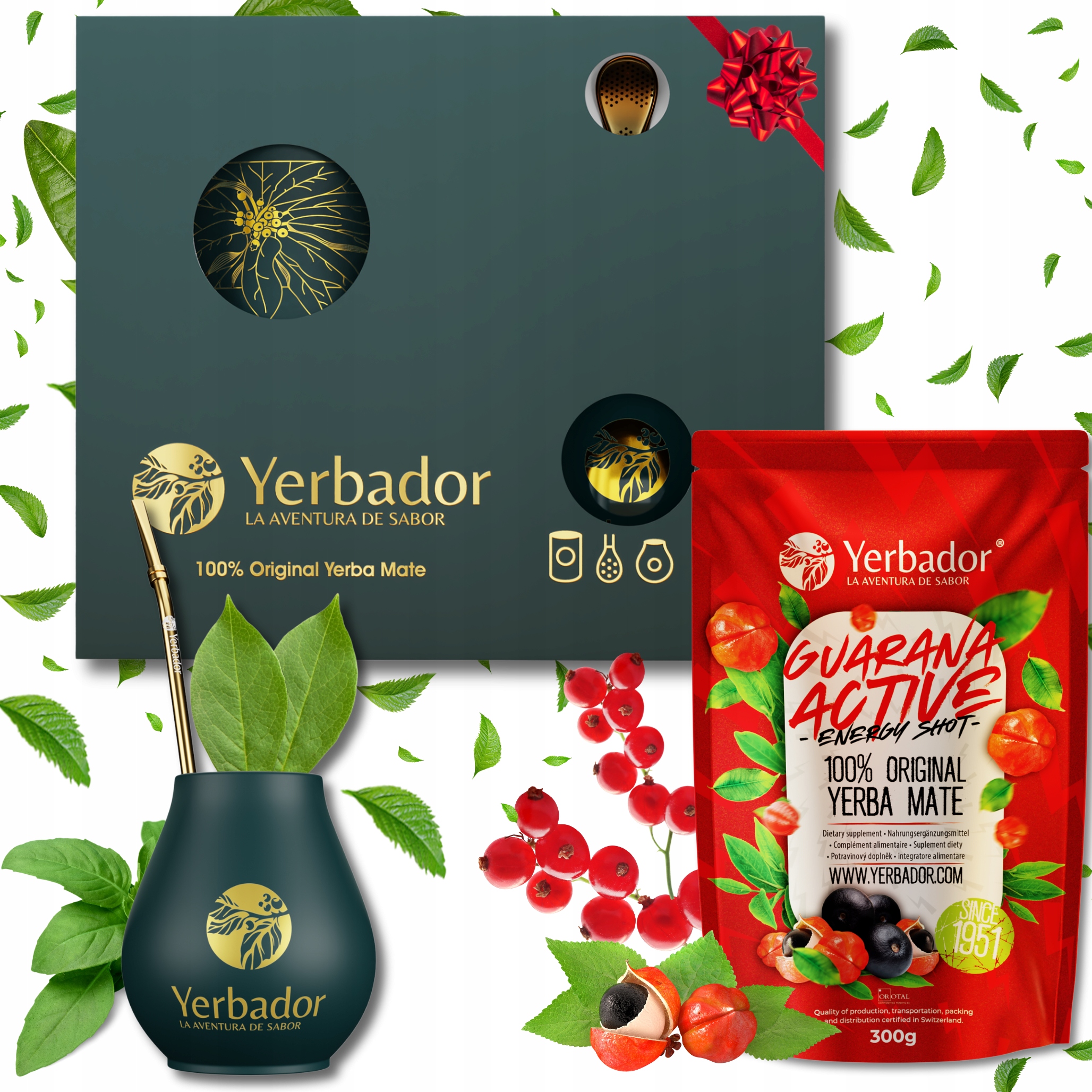 Yerba Mate Startovací Sada Yerbador Guarana Síla vzrušení Matero Bombilla