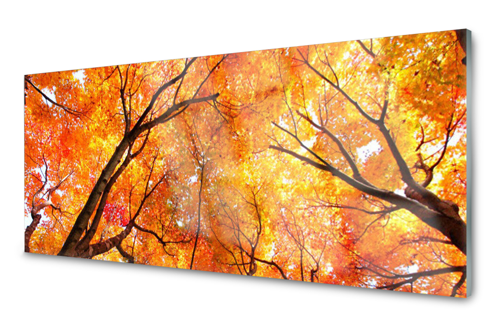 

Panel szklany do kuchni Drzewa 125x50
