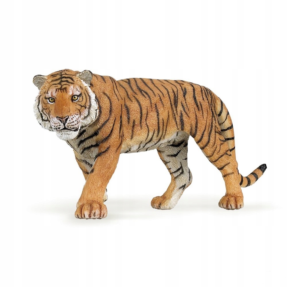 

Tygrys Tiger Papo 50004