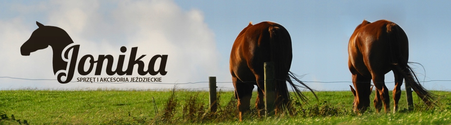WYPRZEDAŻ Oficerki Paris Busse czarne 38 Rodzaj oficerki