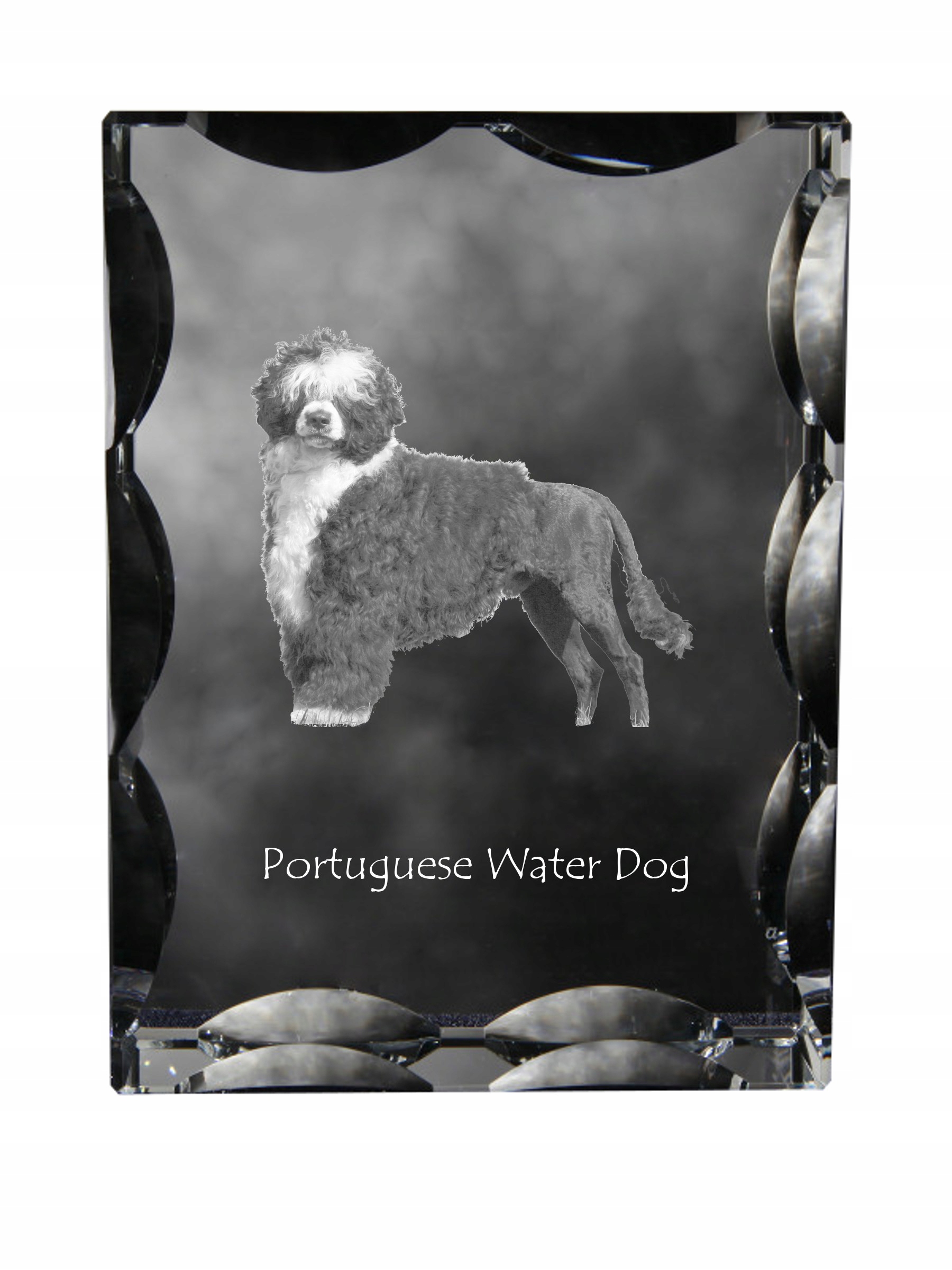 Portugalský veliteľský pes, fotografia psa v ozdobnom kryštáli, suvenír