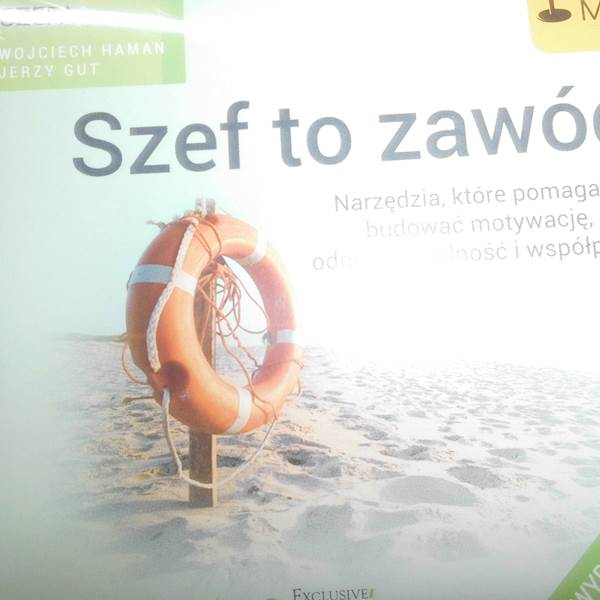 SZEF TO ZAWÓD Psychologia szefa 1 Szef to zawód wI