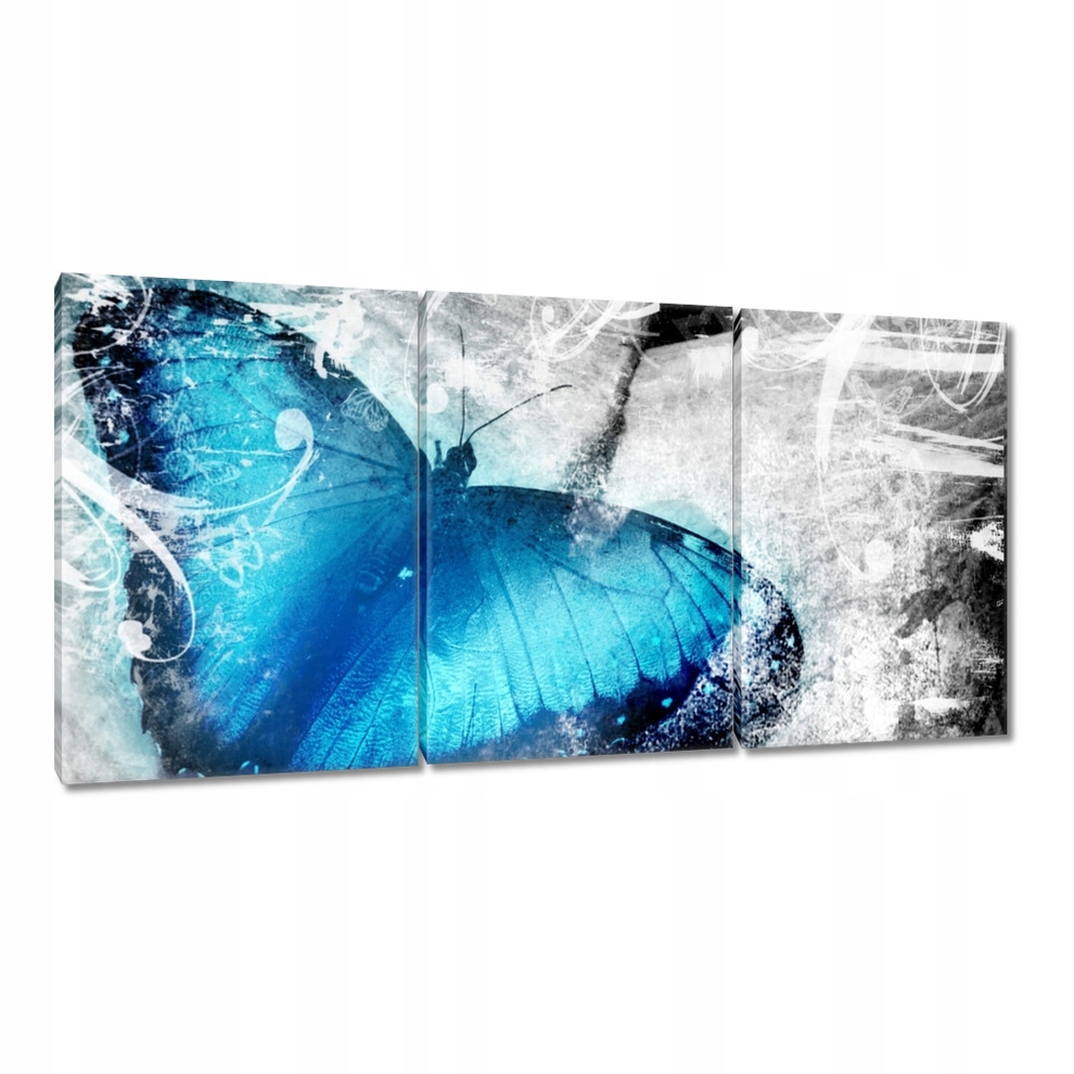 

Obrazy 120x60 Delikatny motylek
