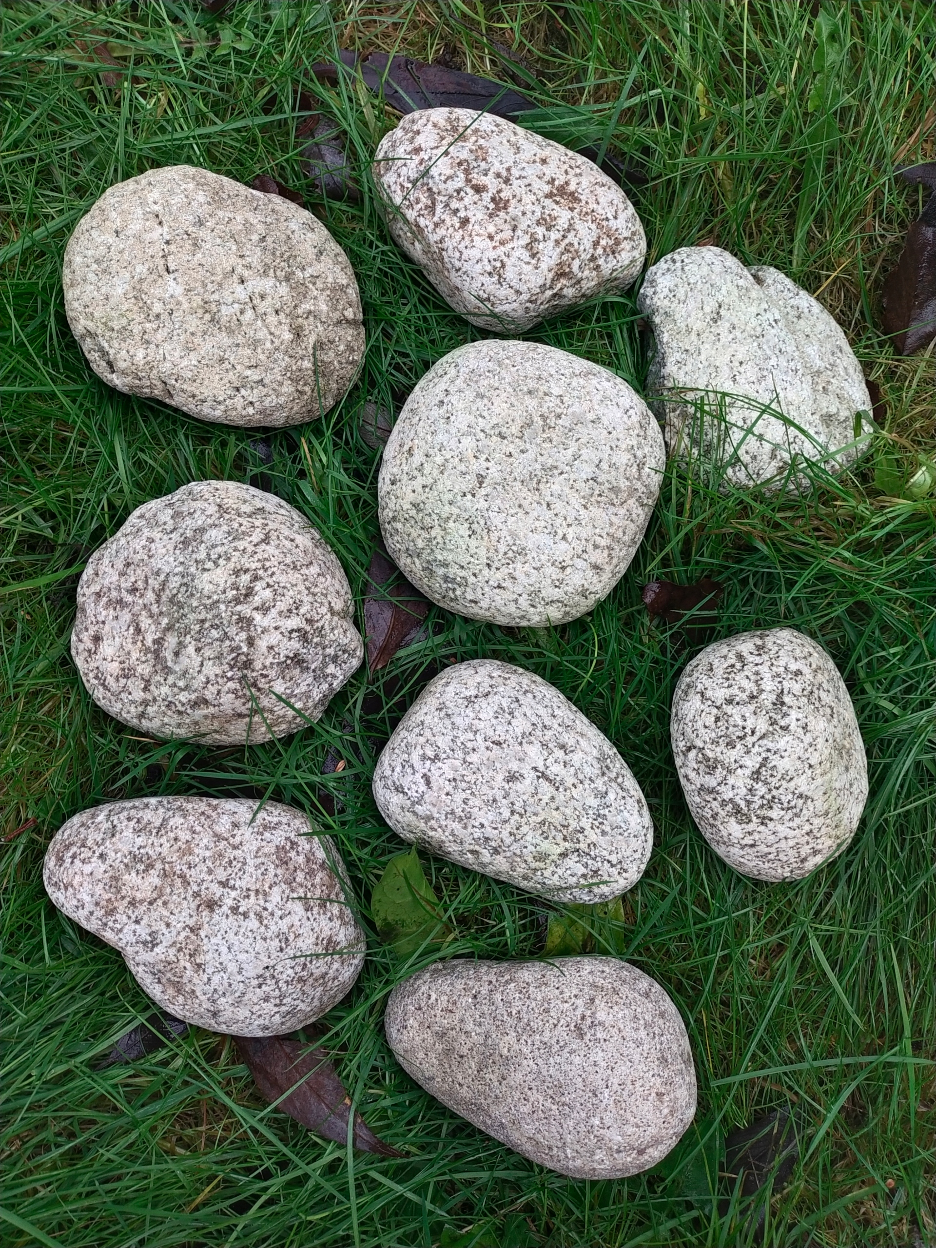 

Kamienie naturalne około 5-13cm 1kg