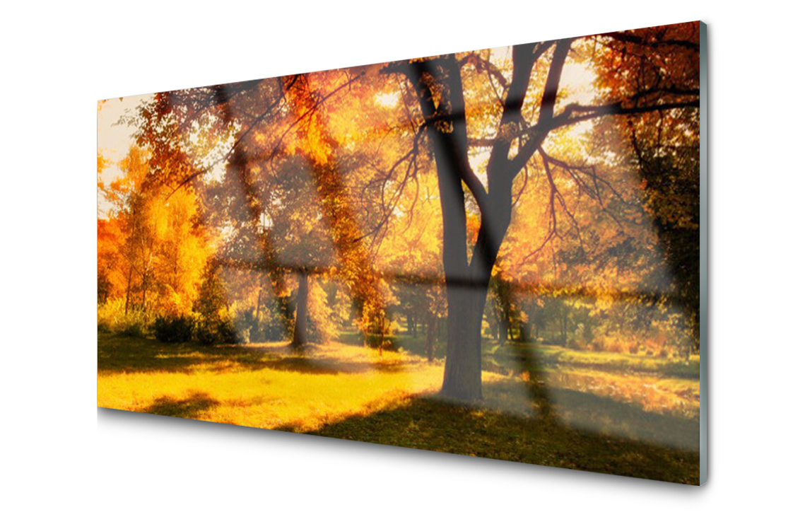 Obraz na skle Stromy Podzim Příroda 120x60