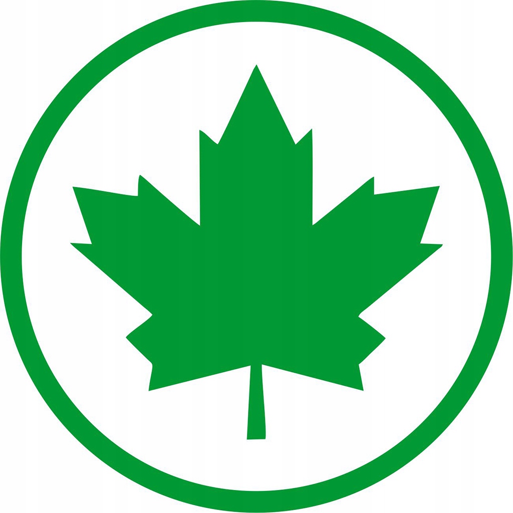 Naklejka zielony Liść Listek Klonu początkujący młody kierowca 11 x 11 cm