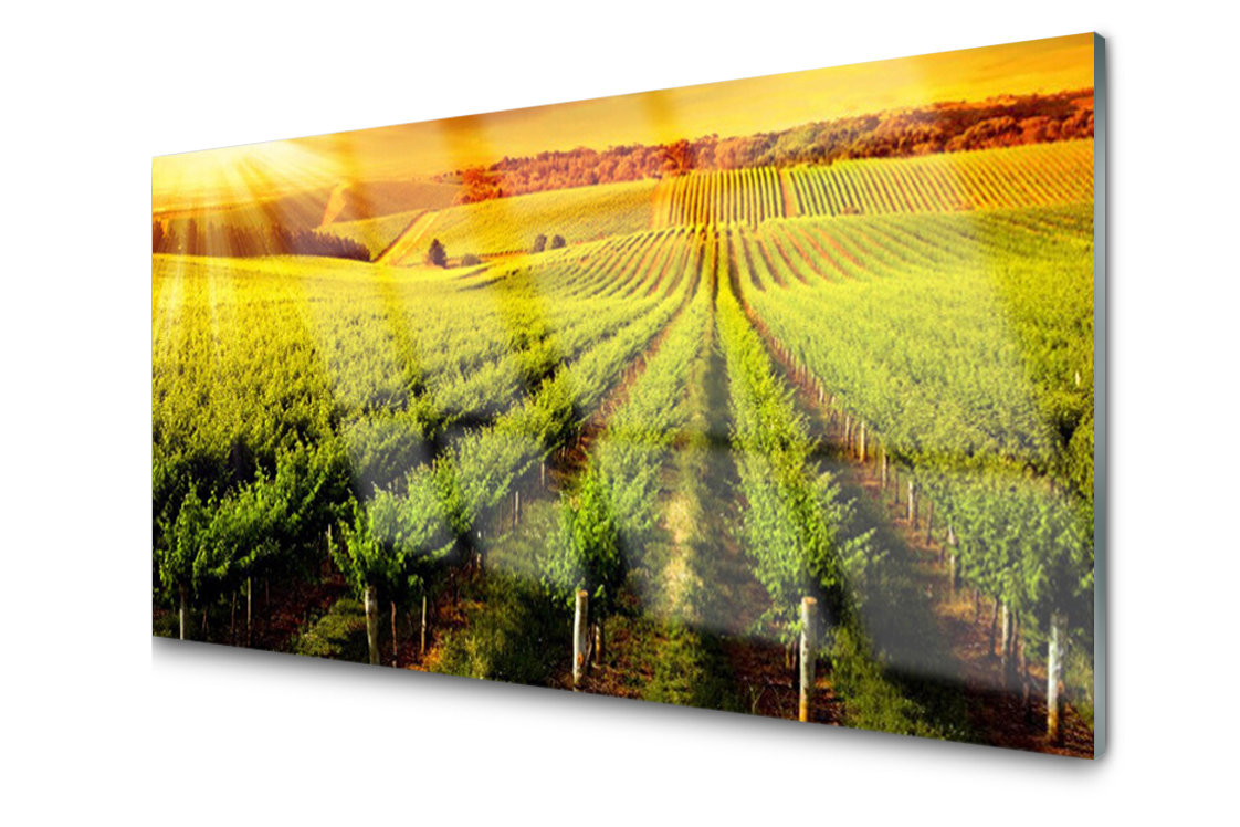 

Panel szklany dekor Dekor Pole 140x70 + Klej