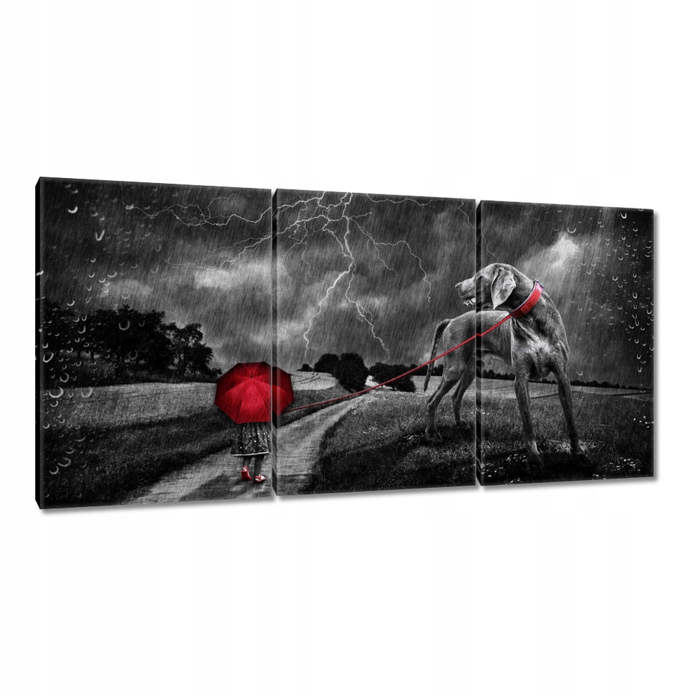 

Obrazy 120x60 Przerósł mnie ten spacer