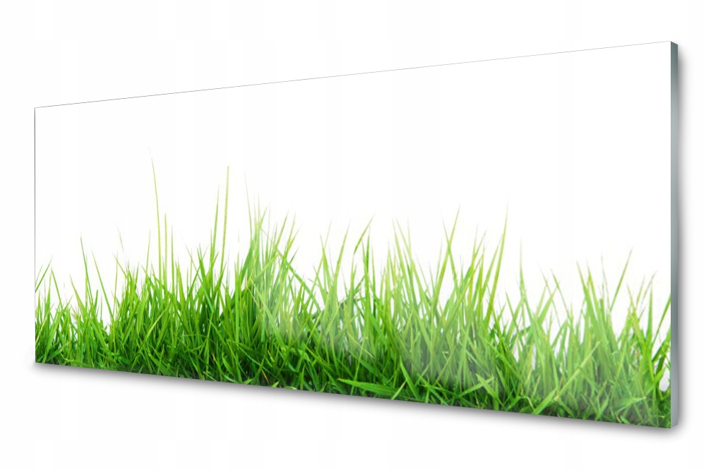 Lacobel Panel Szklany Ścienny Trawa Roślina 120x60
