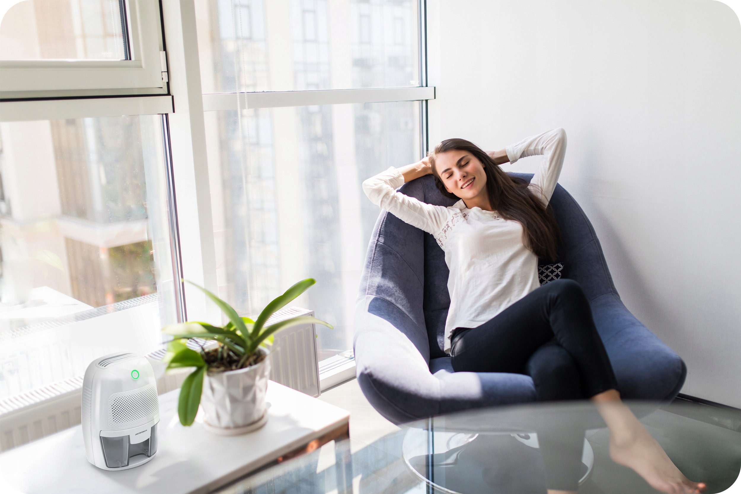 ODVLAŽIVAČ ZRAKA APSORBTOR VLAGE 500ml 23W + AUTO NAPAJANJE 12V Berdsen