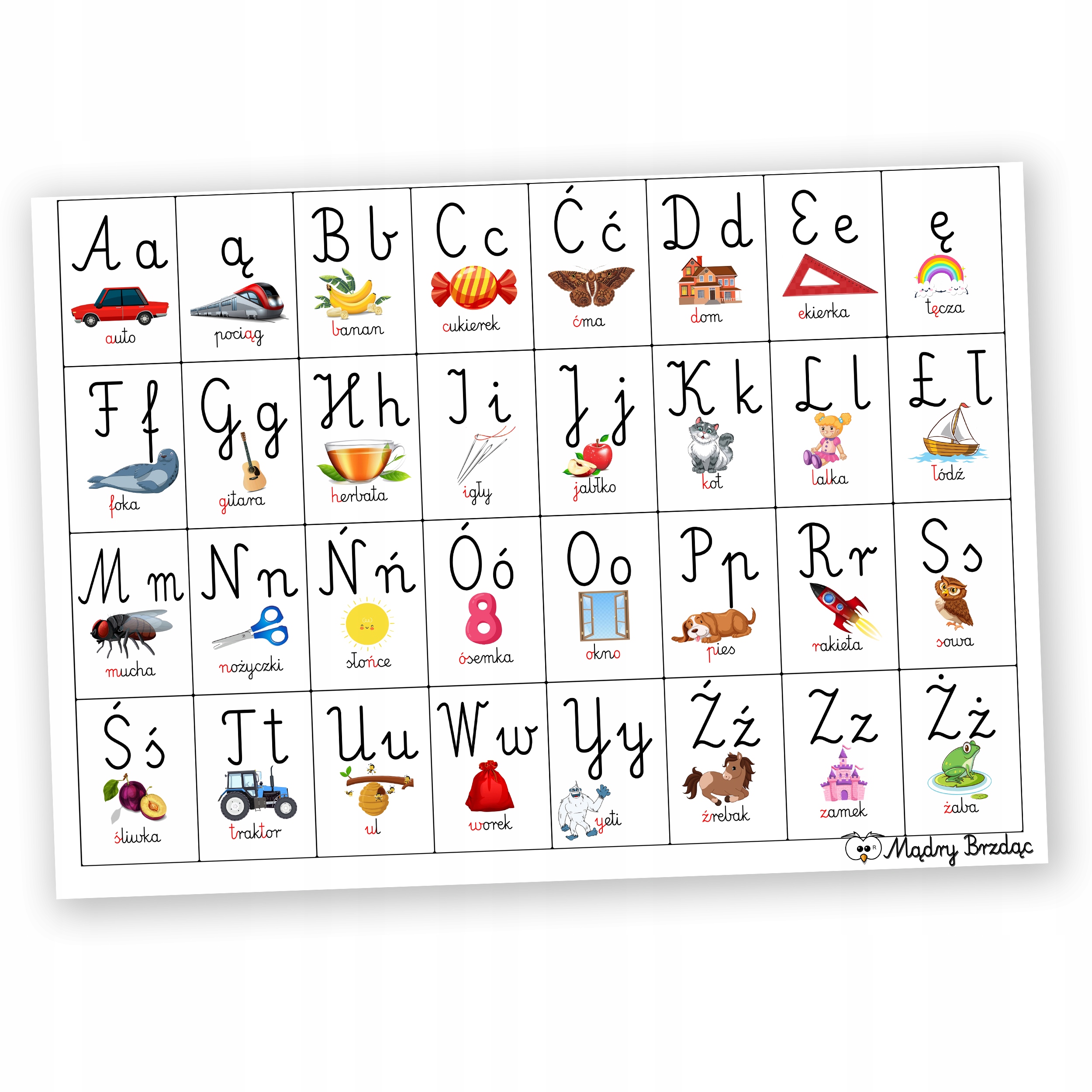 

Plansza dydaktyczno edukacyjna Alfabet 13x18 w.9