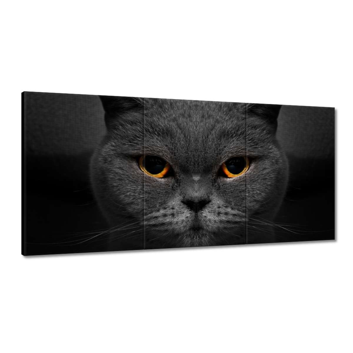 Obrazy 180x90 Dôstojná mačka