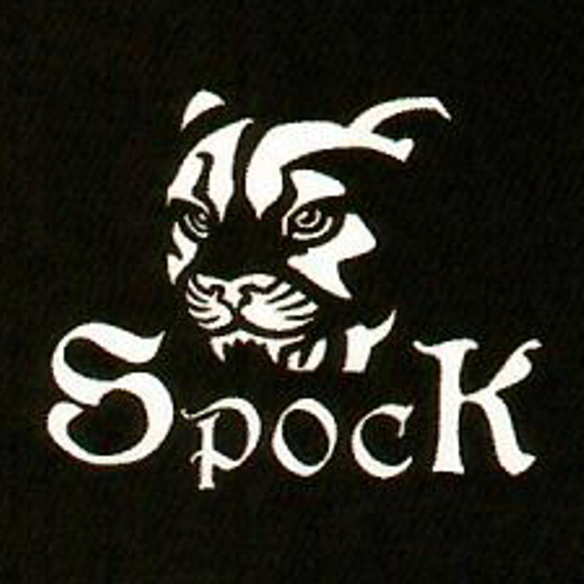 Struny do Altówki SPOCK S222 Przeznaczenie do altówek