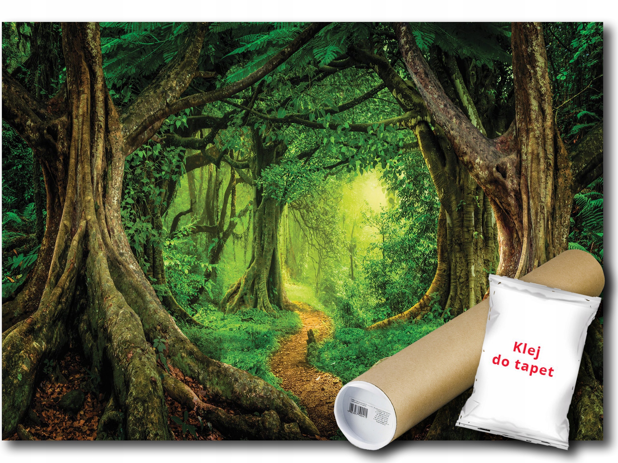 Fototapeta Vliesová Les Cesta Fantasy 254x184