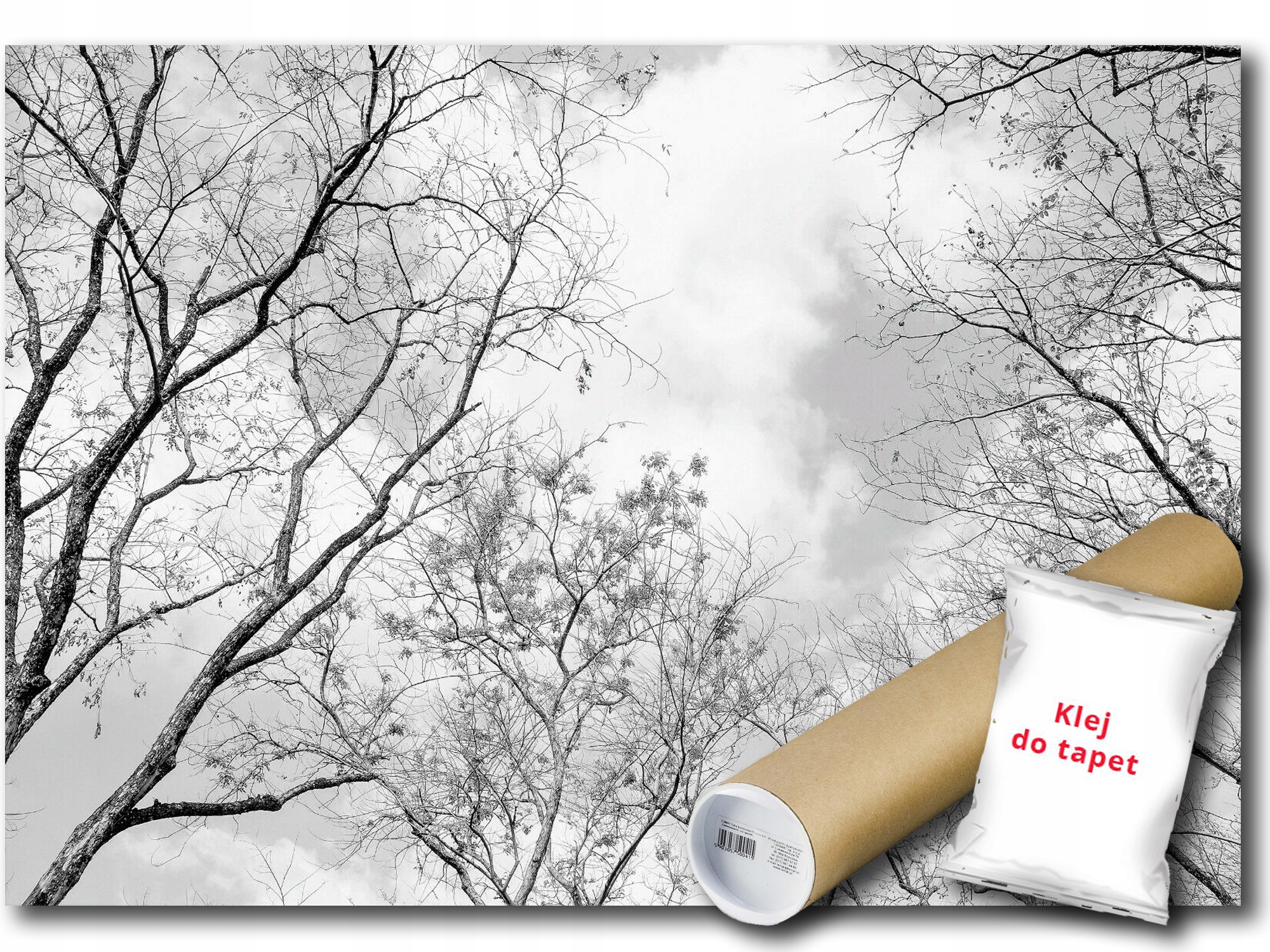 Vinylová Fototapeta Dřevo Bříza Nebe 312x219