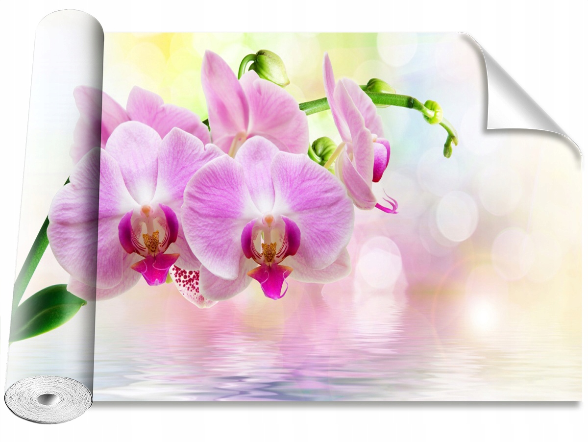 

Tapeta Samoprzylepna Orchidea Róż 416x254