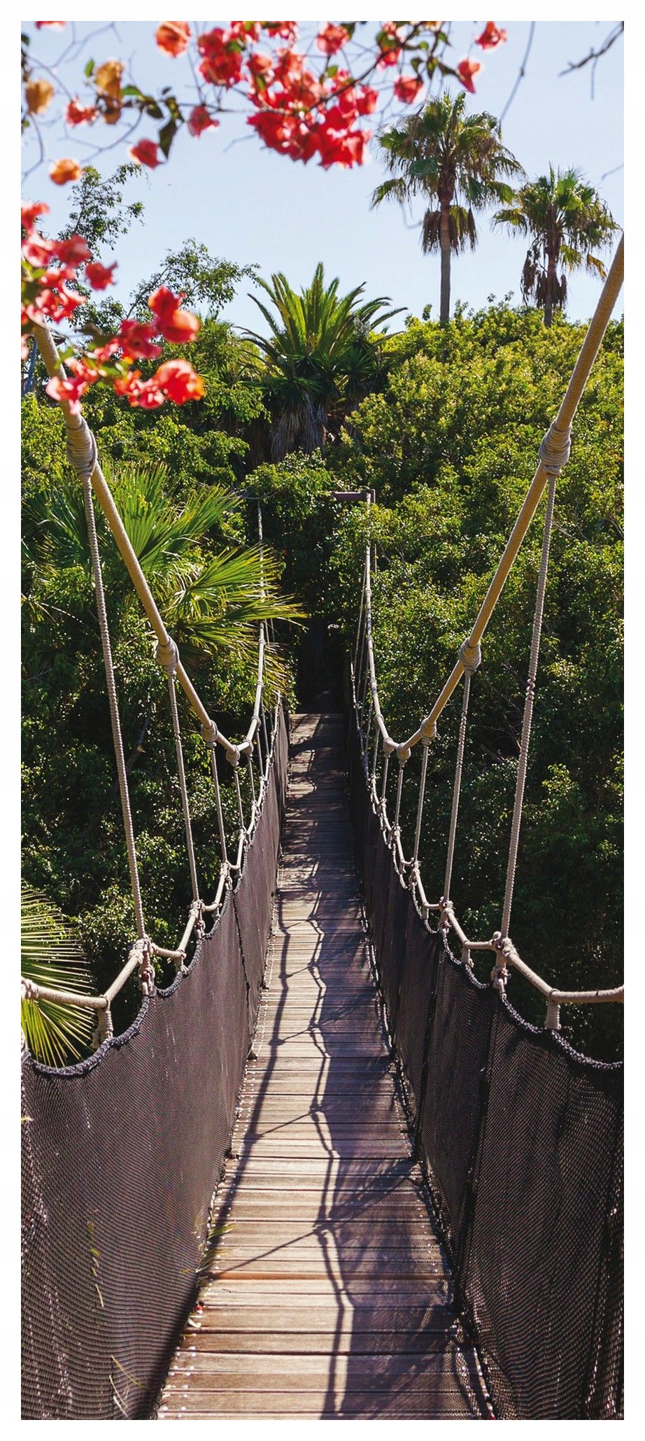 Samolepka Fototapeta Most v tropech exotika a útulnost 91x211