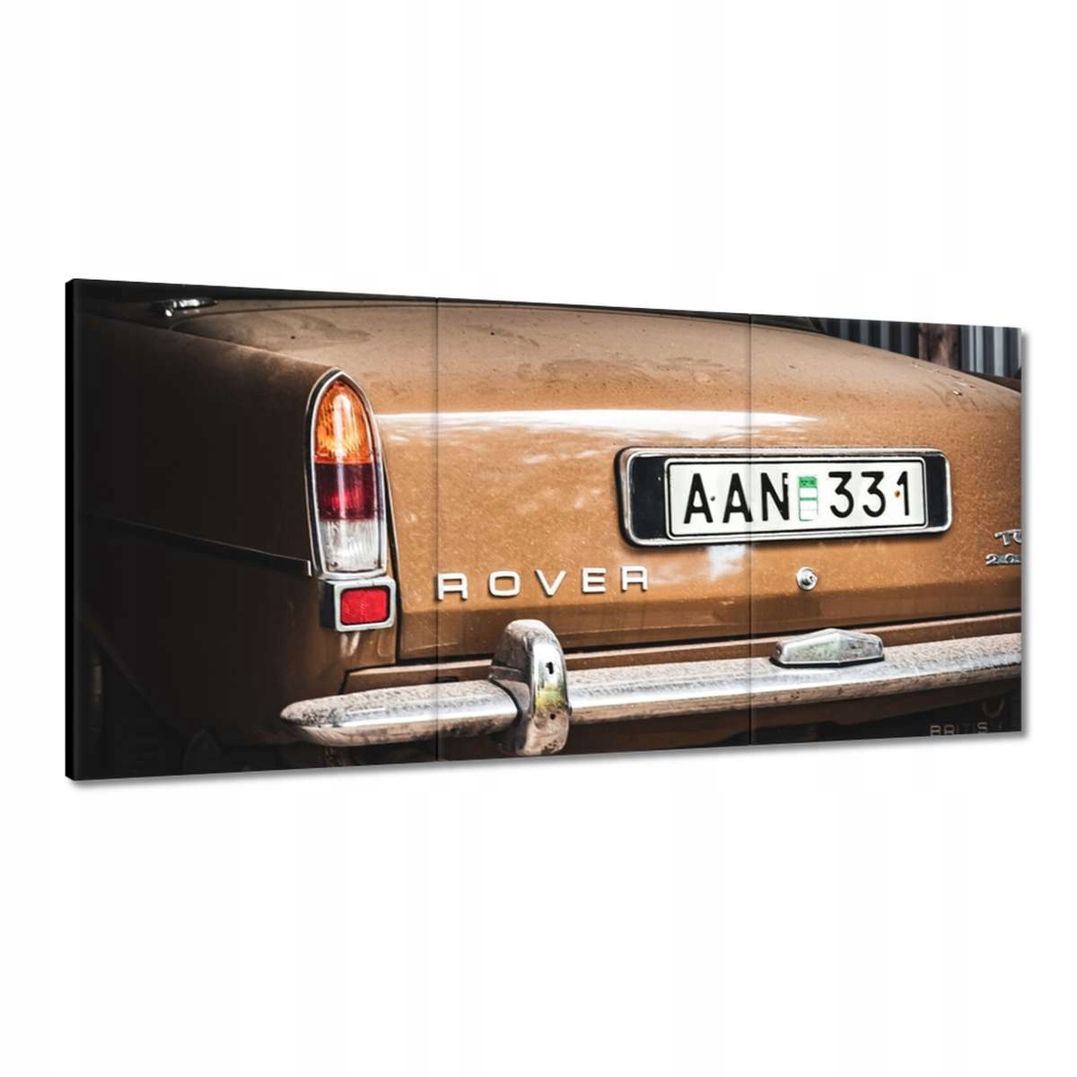 Obrazy 180x90 Rover Auto
