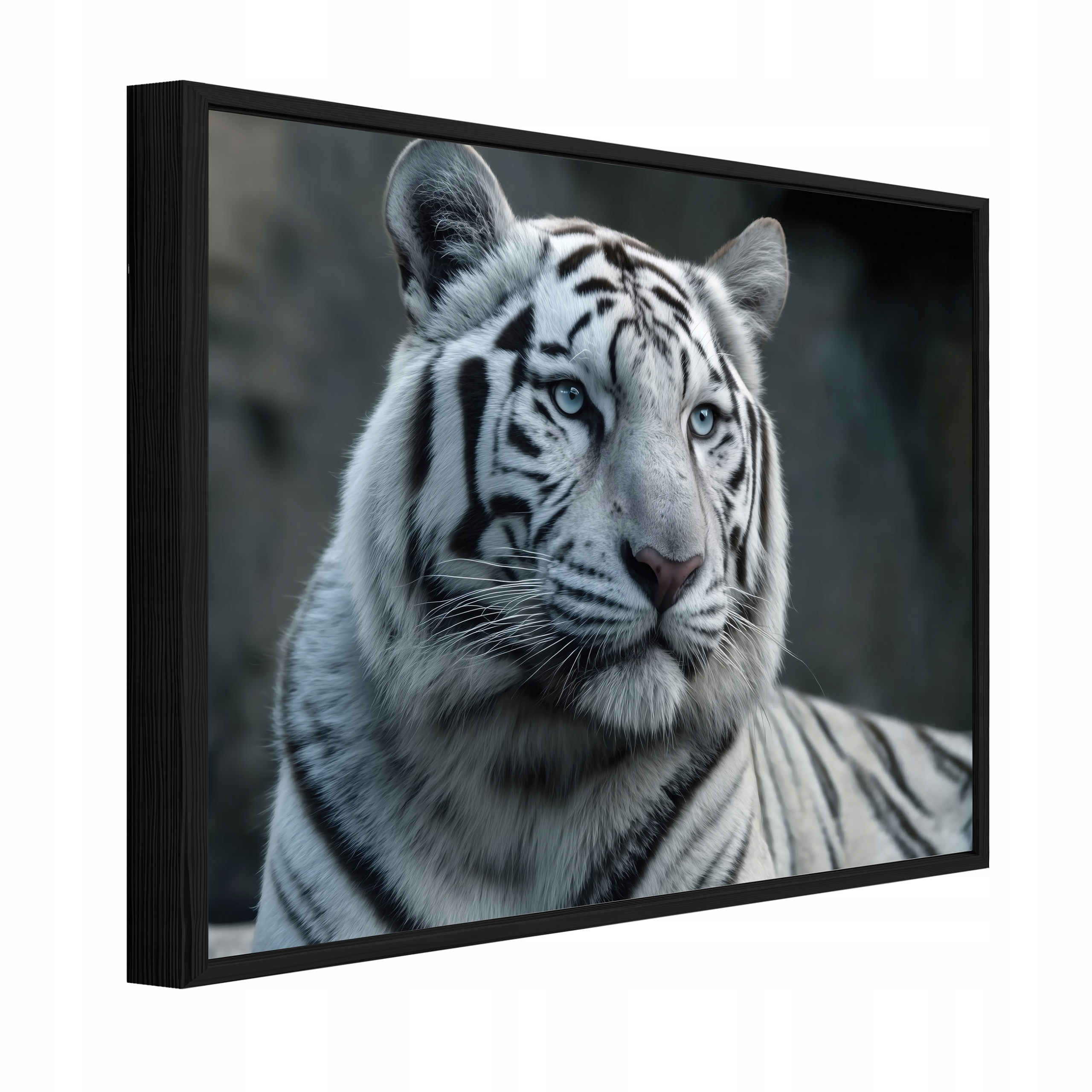 Obraz V Černém Rámu Na Plátně Tygr Zvířata Obývací Pokoj Ložnice 60x40