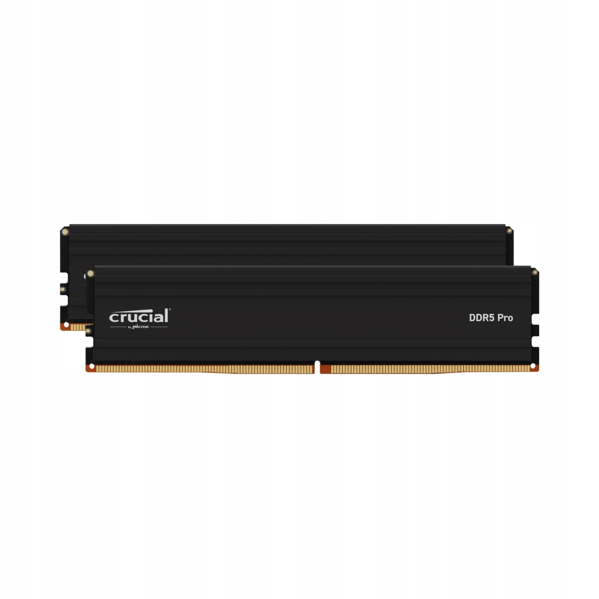 DDR5 Crucial Pro 96GB (2x48GB) 5600MHz CL46