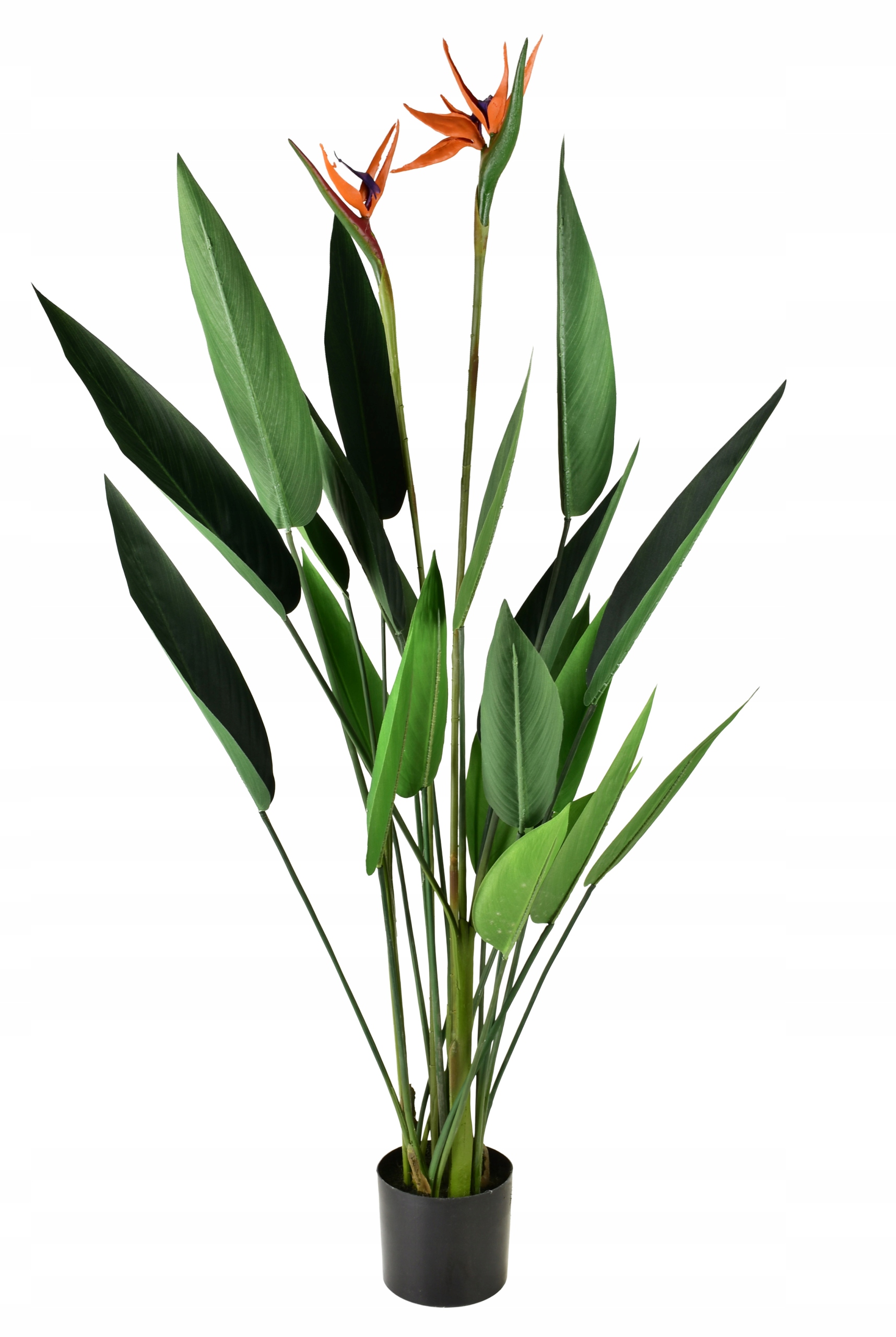 Viridis Umělý květ královská sterlicie 15x14x135 cm