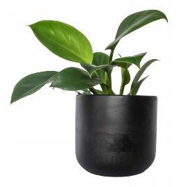 

Doniczka betonowa 12cm czarna lakierowana