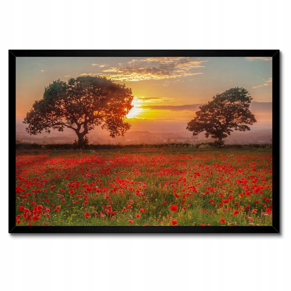 Plakáty v rámu 60x40 Maki na poli Krajina