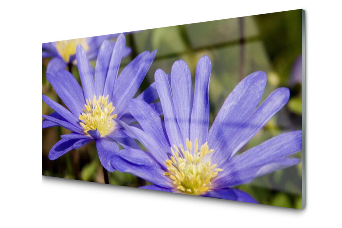 

Panel szklany Płytka Kwiaty Roślina 120x60 + Klej