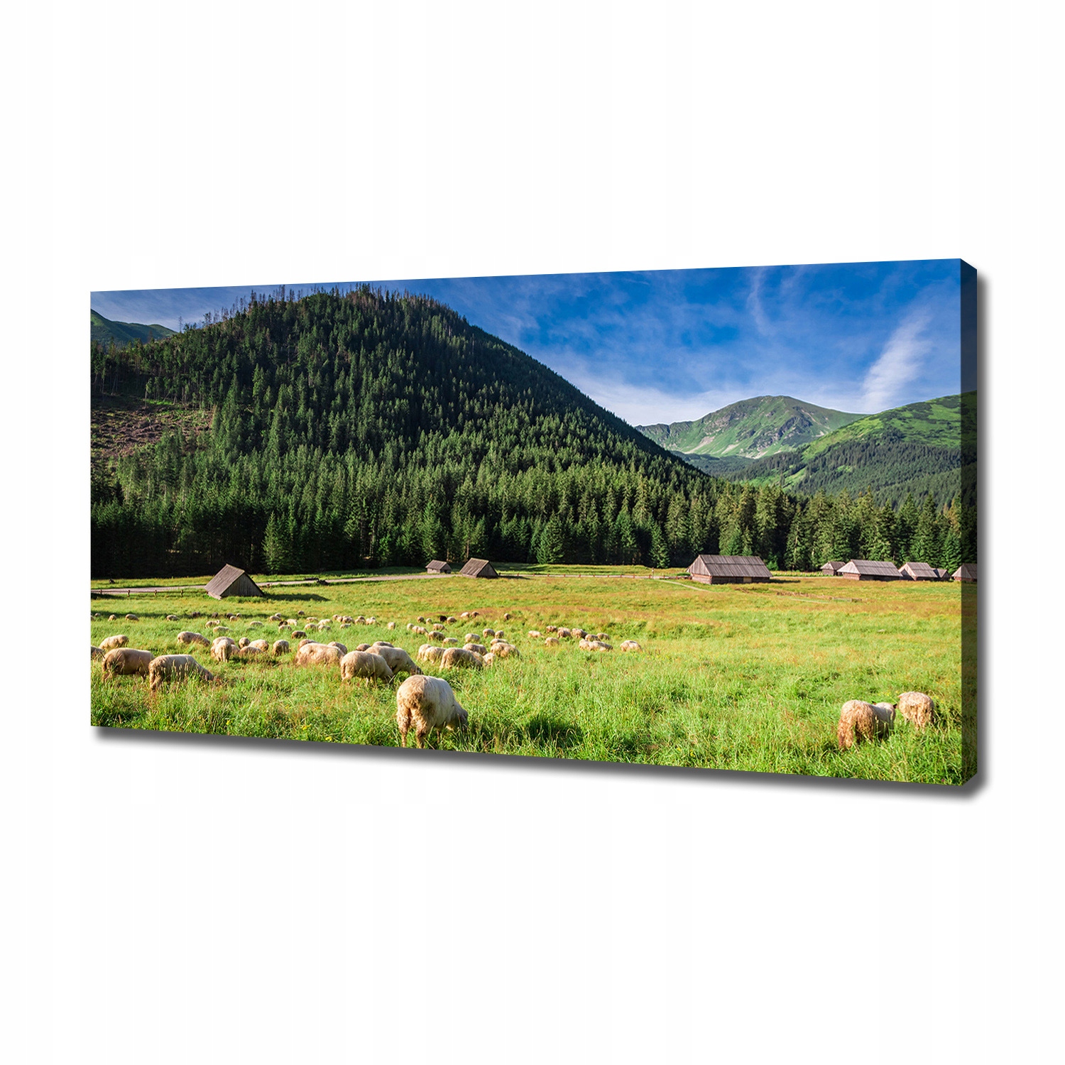 

Foto obraz na płótnie Owce w Tatrach 120x60 cm