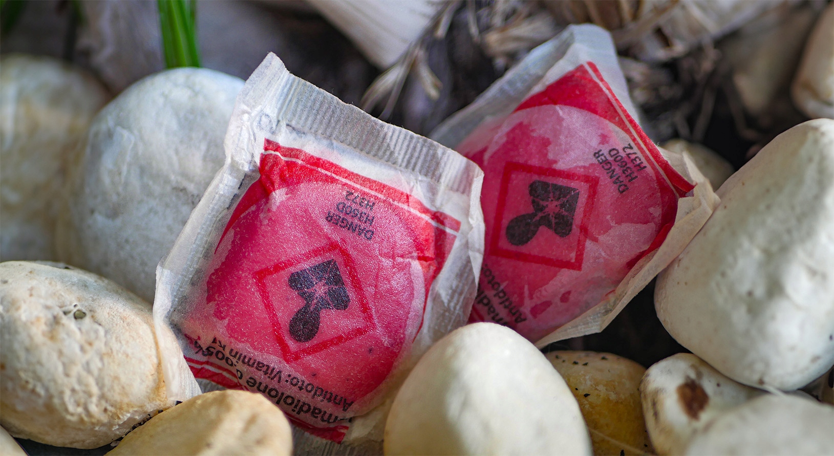 STÄRKSTES GIFT RATTENGIFT MÄUSEPASTE BROMADIOLON 1 KG Marke Muribrom