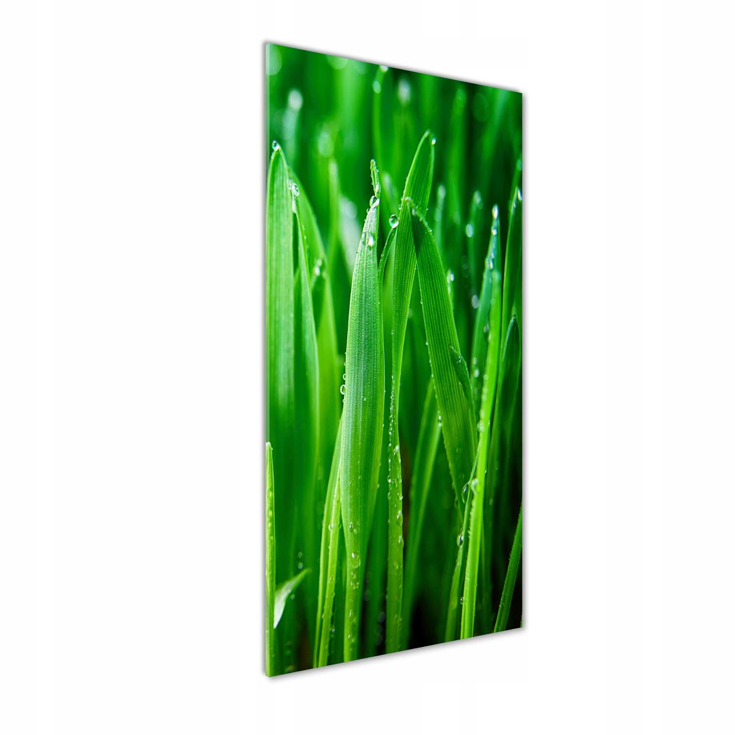 

Nowoczesny fotoobraz akrylowy Źdźbła trawy 50x125