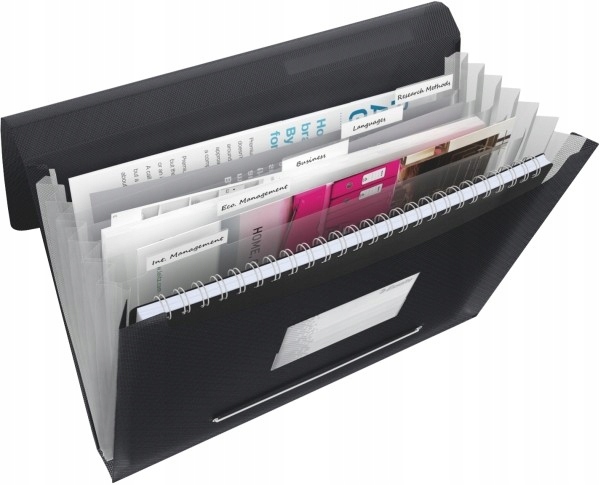 

Teczka harmonijka Esselte Vivida 6 przegr. czarna