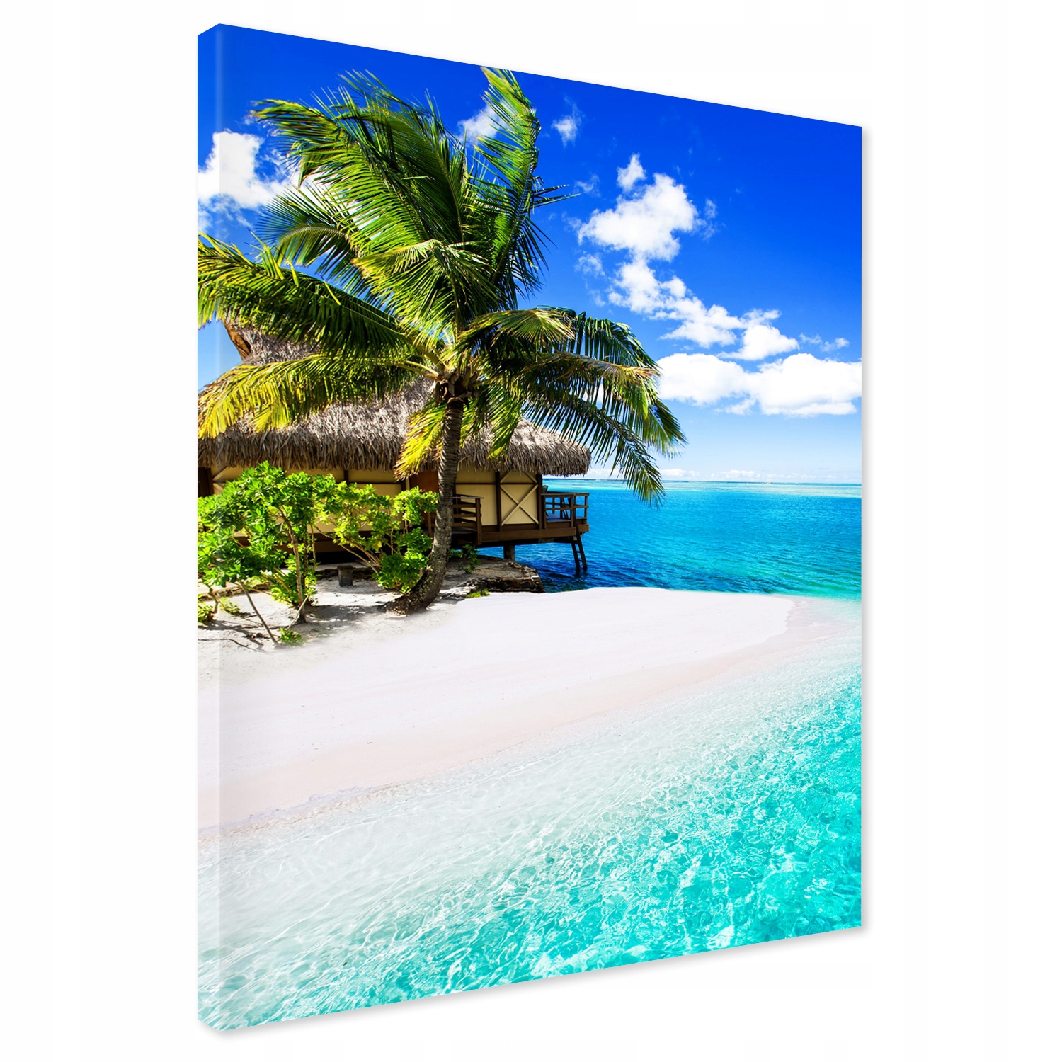 

Obraz na płótnie palmy ocean tropiki 50x70