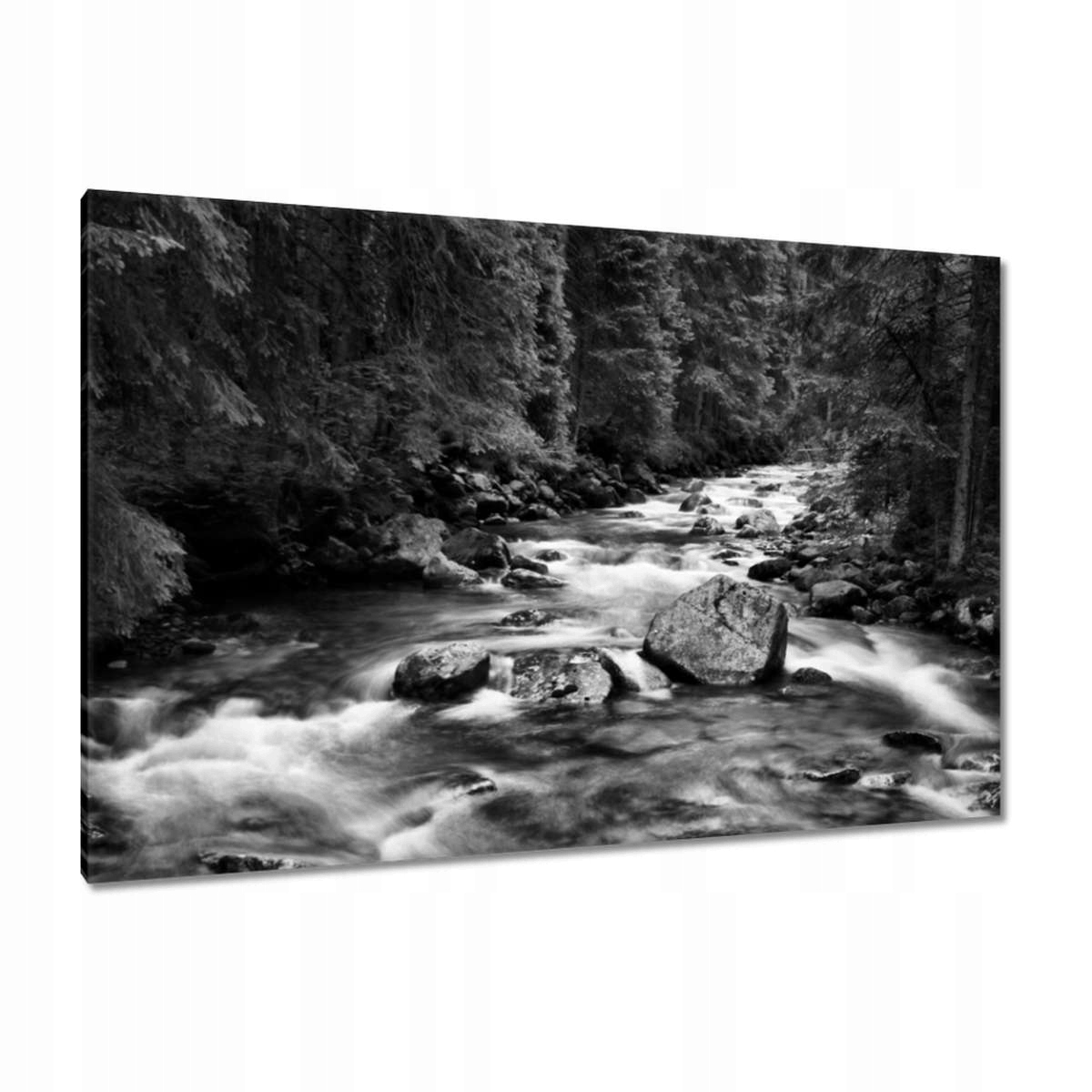 Obrazy 120x80 Tatry Polské hory Pohled