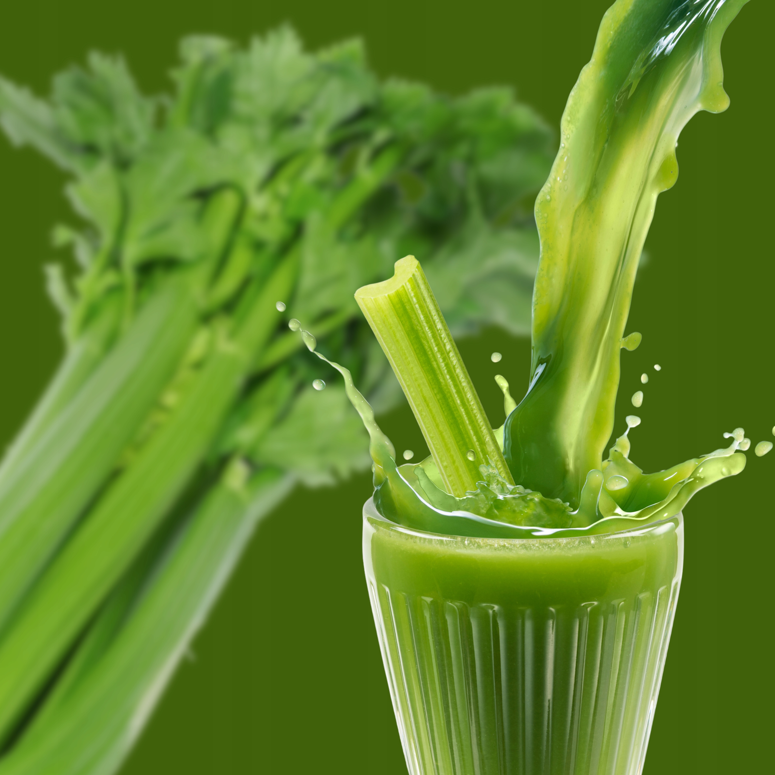 SOK Z SELERA NACIOWEGO 3l 100% Źródło Błonnika Wielu Mikro i Makroelementów Marka Sokarnia Podlaska