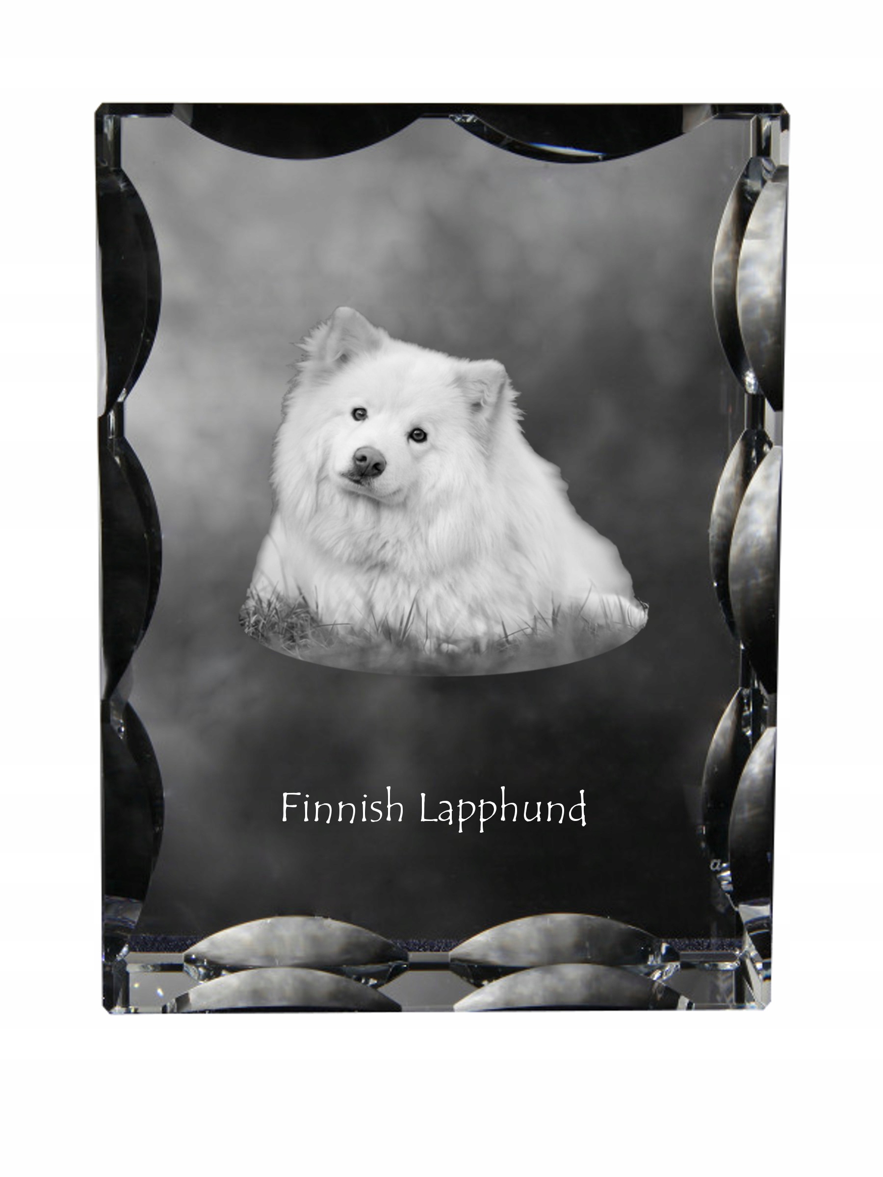 Fínsky lapphund fotografia psa v ozdobnom kryštáli, suvenír, dekorácia domu