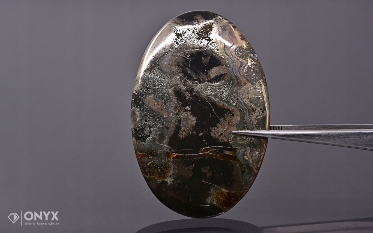 Amonit spiritizovaný ovál 66x44 mm