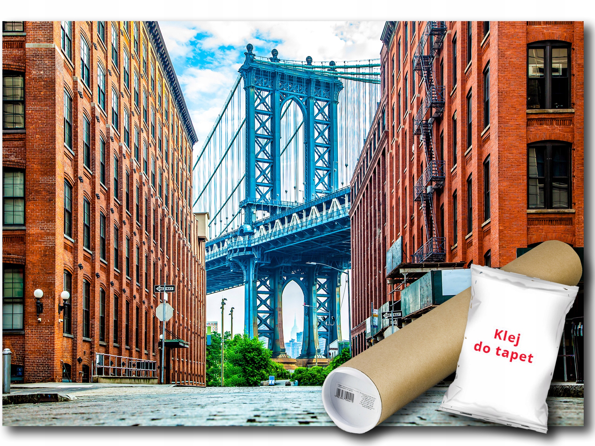 Fototapeta Flizelina Město New York Most Manhattan 208x146