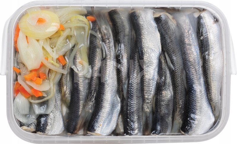Moskaliki Marynowane W Occie Tuszki Śledziowe 2.5kg Panix Wiadro