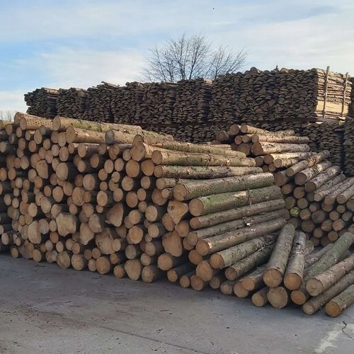 PIŁA SPALINOWA GAŁĘZIÓWKA 4KM MEGA ZESTAW PILARZA 2 PROWADNICE 2 ŁAŃCUCHY EAN (GTIN) 5901969122947